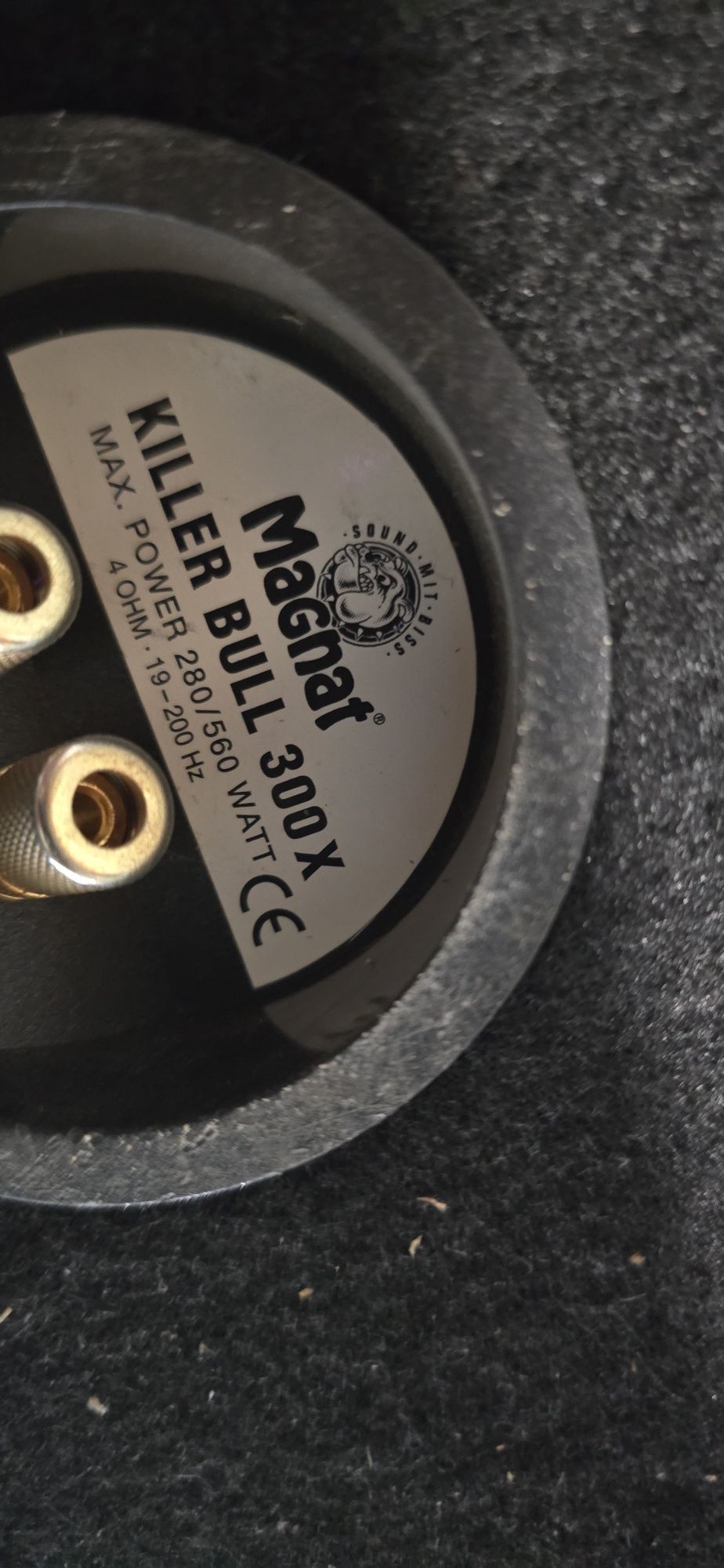 Subwoofer magnat 300x