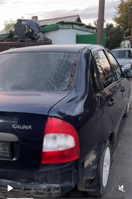 Калина на разбор