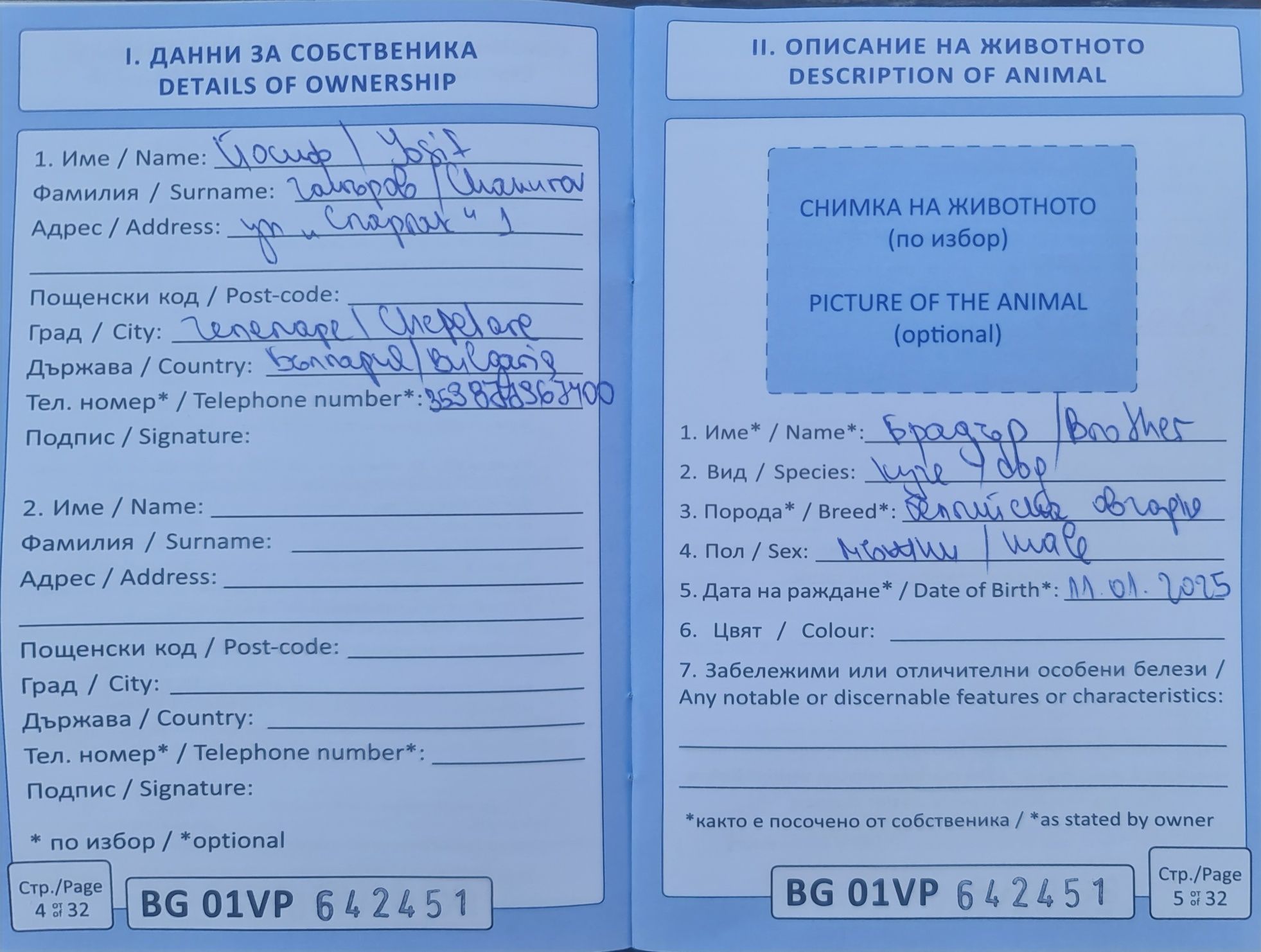 Продавам белгийска овчарка Малинуа – 7-месечни кученца

Продавам чисто