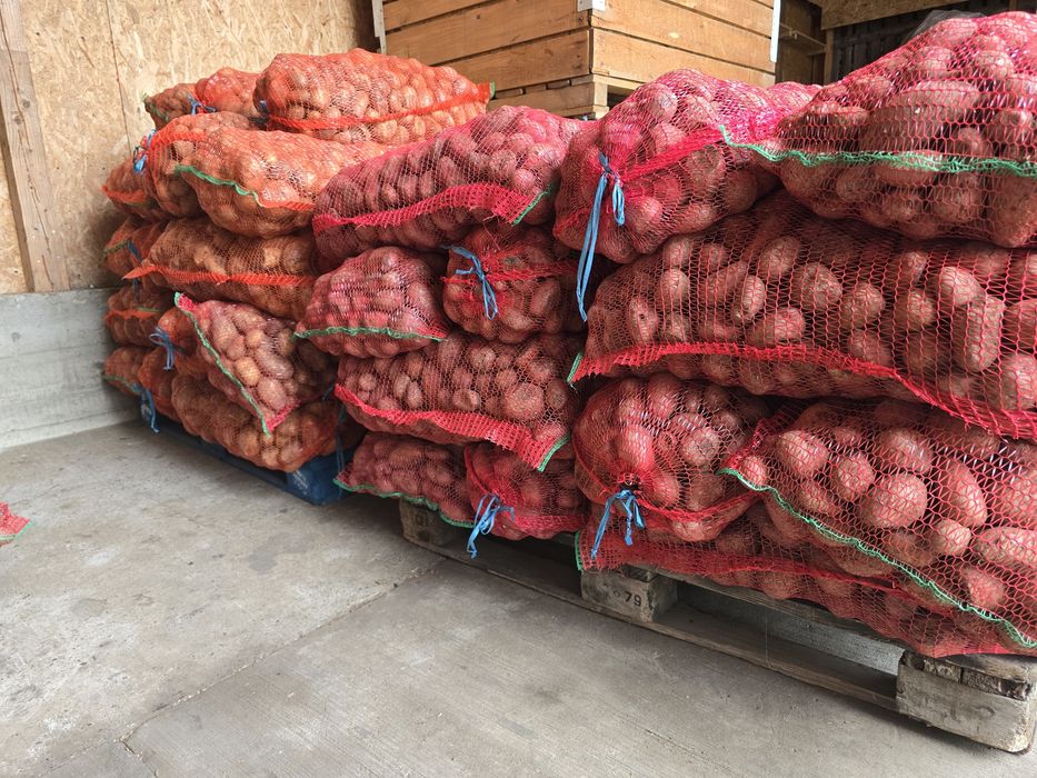 Cartofi pentru animale