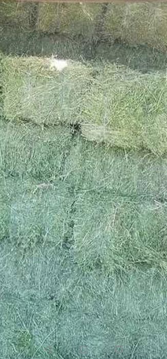 Vînd Baloți de fîn