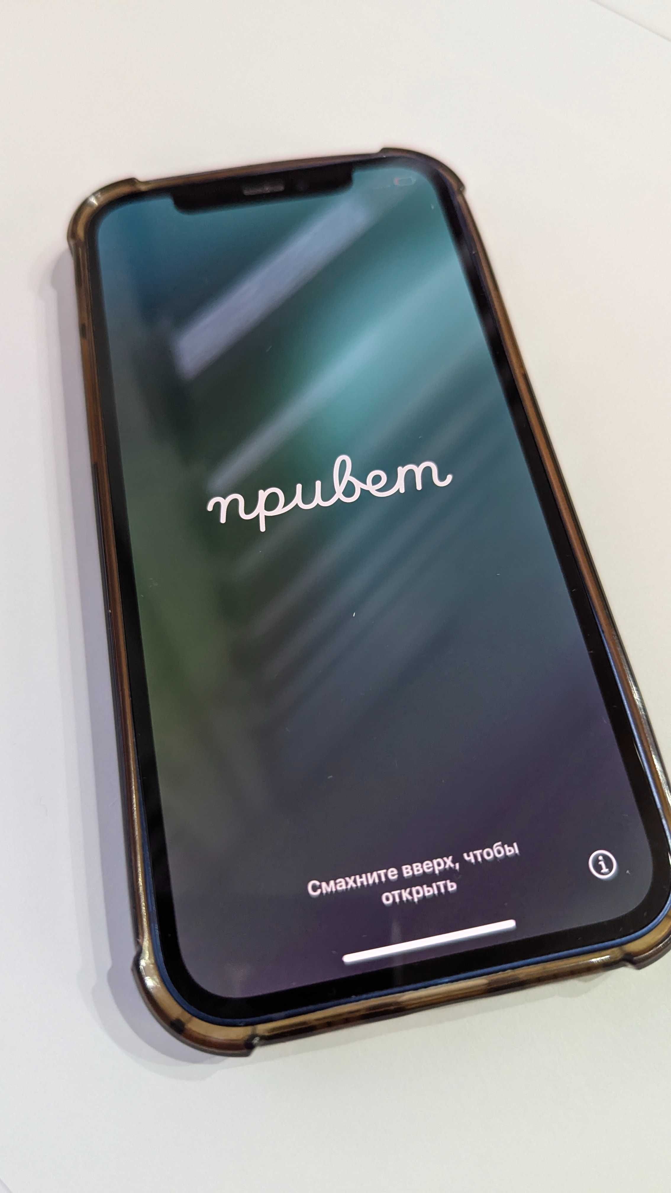 В рабочем состоянии Apple Iphone 12