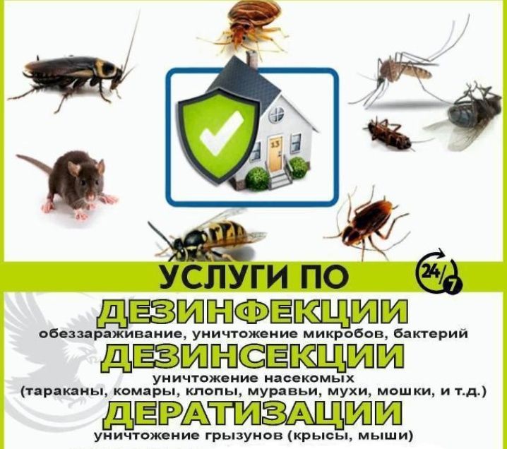 Профессинальная дезинфекция гостиниц отели