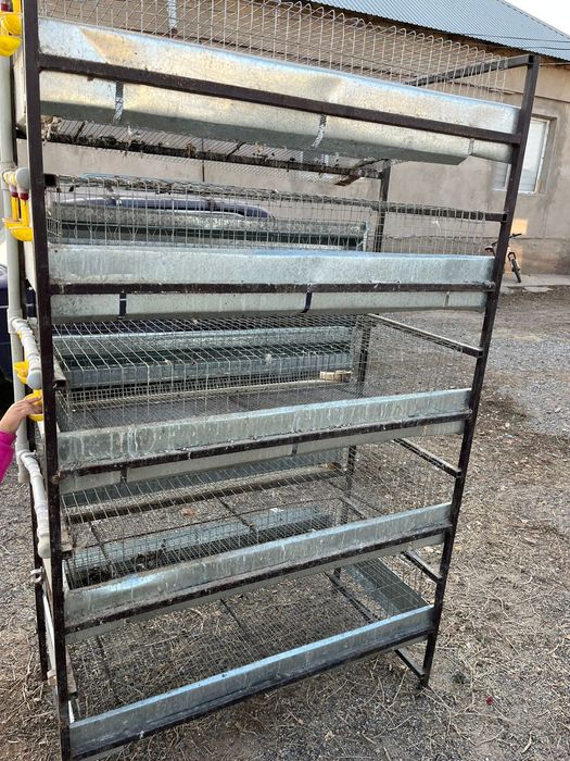 Бөдене асырайтын сетка Шымкент