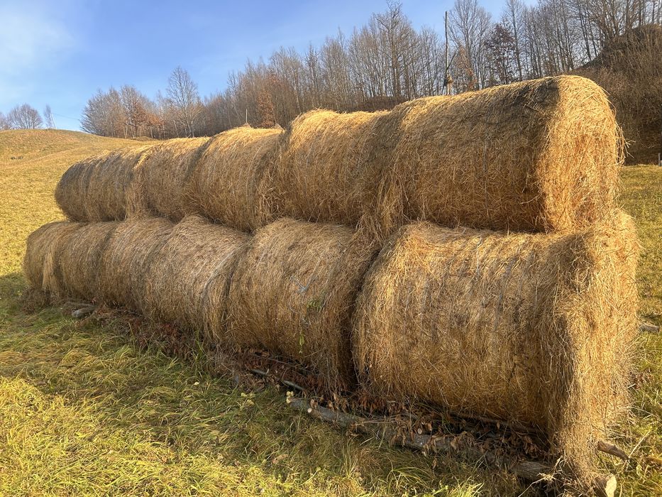 Baloti rotunzi, patrati și clăi de vanzare
