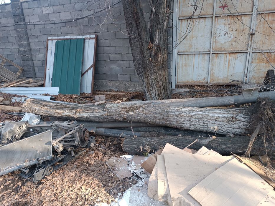 Дрова даром карагач