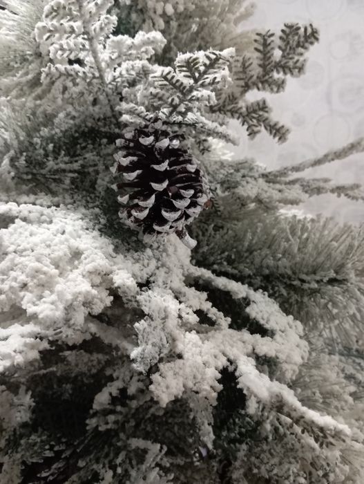 Елка 40000тг . 2м