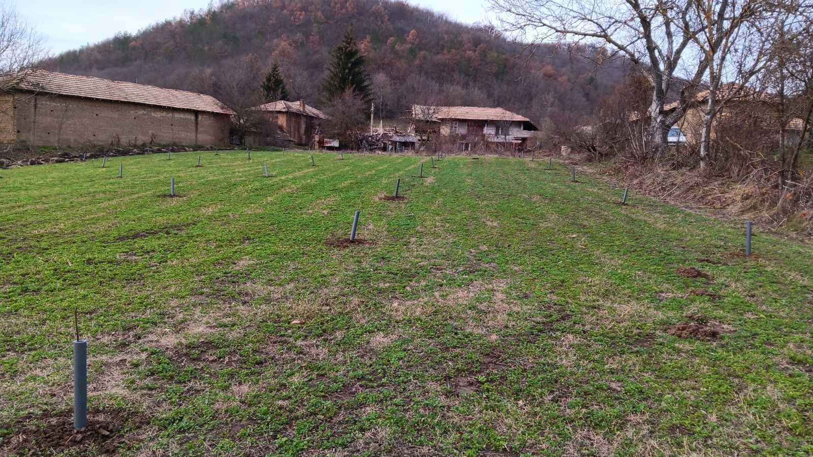 Къща с голям двор, орехова градина