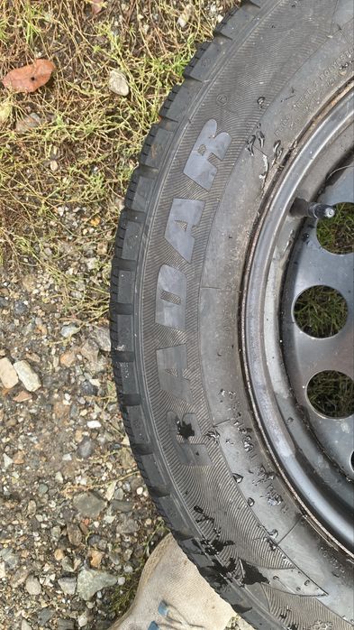 205/60R16 Iarna M+S