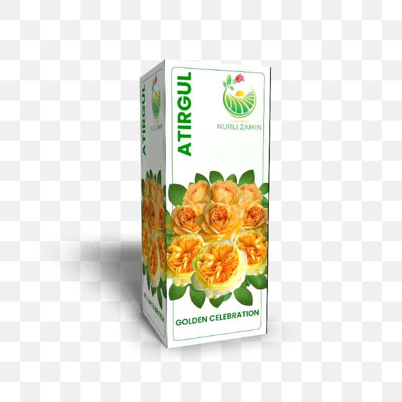Atrigul Ko'chatlari  |  Саженцы роз