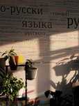 Обучение русскому языку.