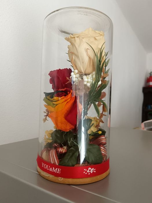 Trandafiri criogenati