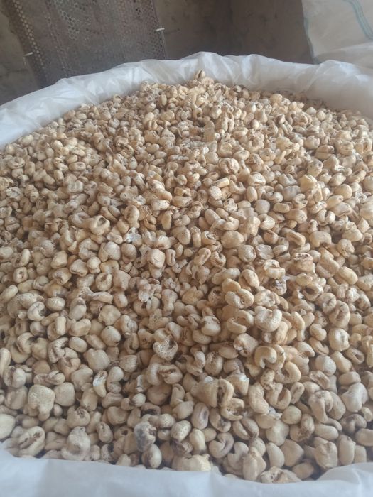 Mazzali popcorn kukuruzni