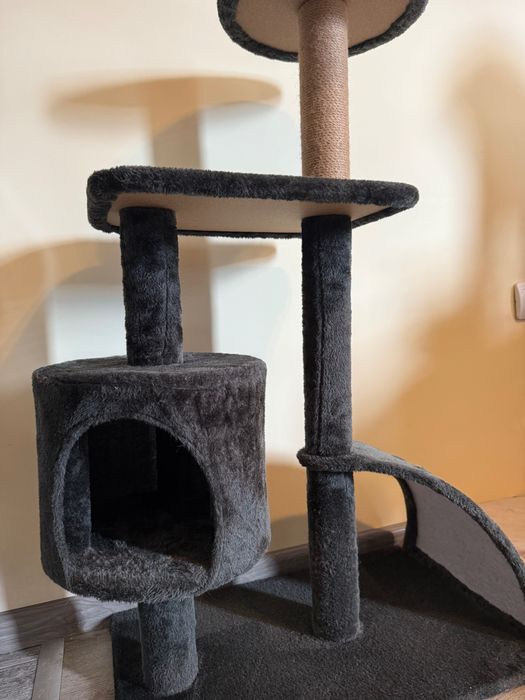 Котешка катерушка