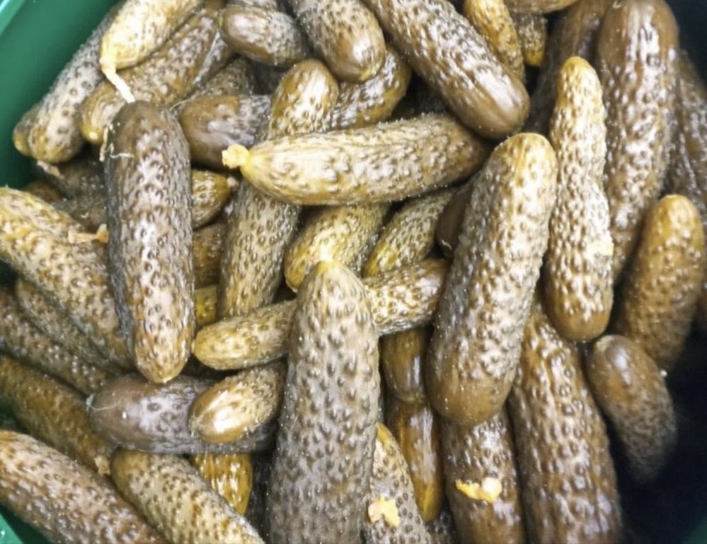 Varza si castraveti murati