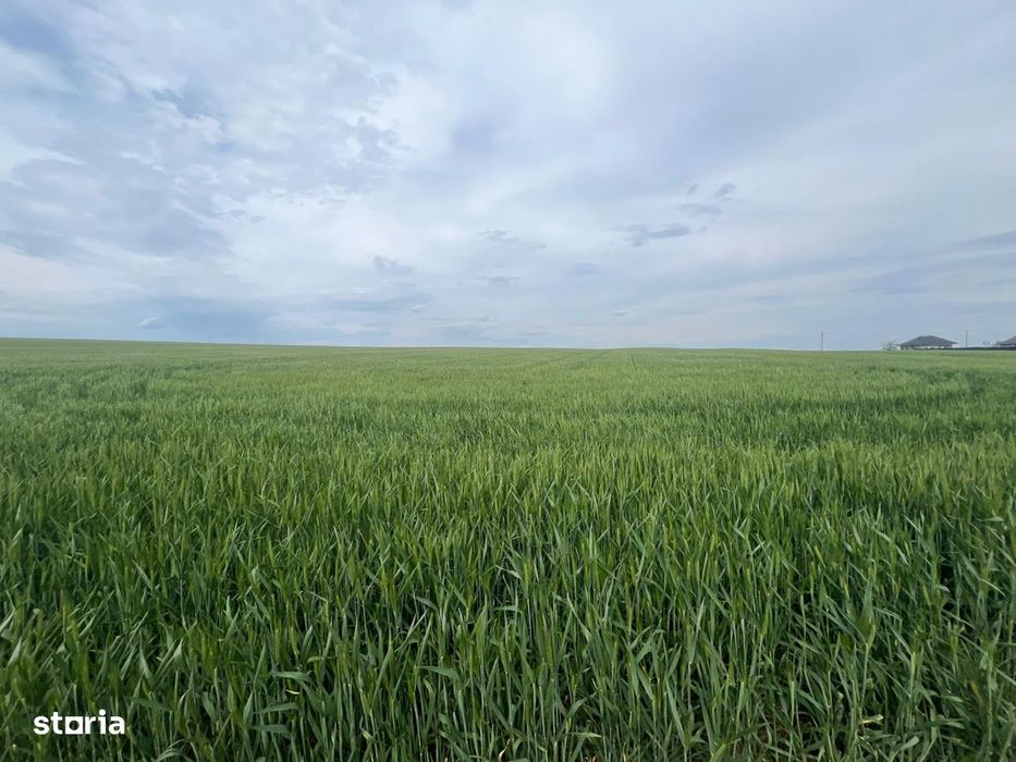 Teren agricol  12.5 hectare in Vetrisoaia Husi