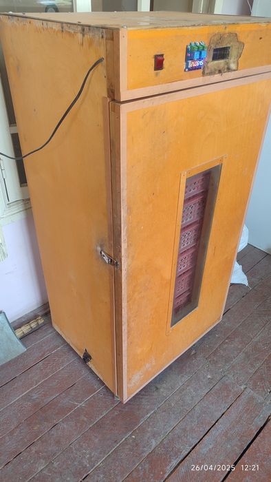 Inkubator 19 kundan keyin joʻja ochirish uchun yani raddom inkubator