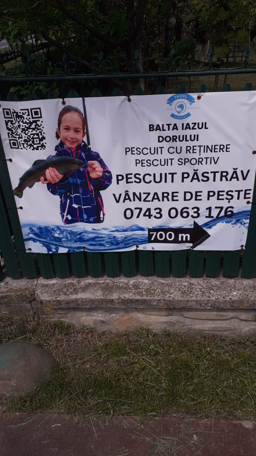 Ocazie,Teren de casa,vila,deal-munte,cu livada!Acte la zii Negociabil