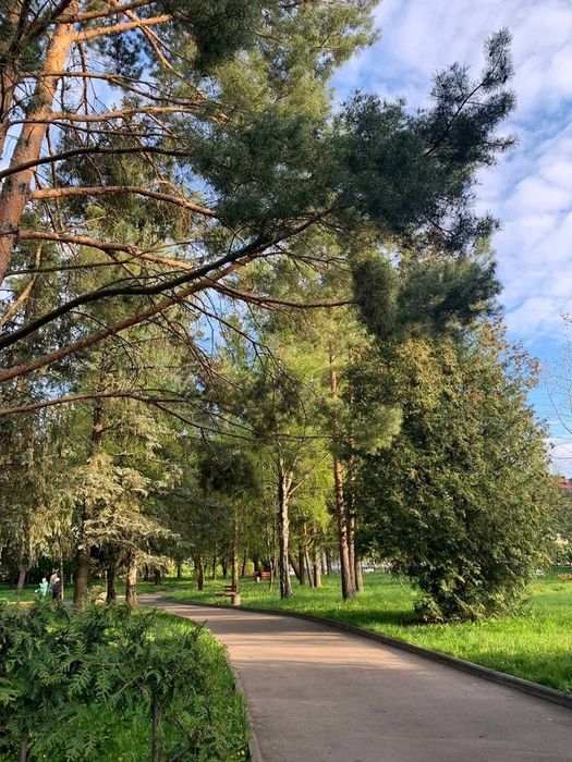 Arzon xovli uchastka Yuqorichirchiq Bordanko'l da Yangi O'zbekiston