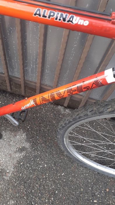Bicicleta univega alpina