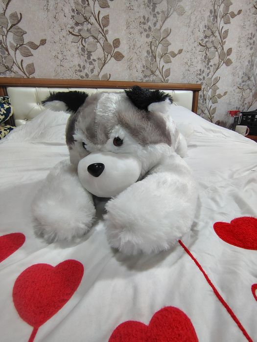 Kotta 2.2 metrli teddy bear  ayigʻi