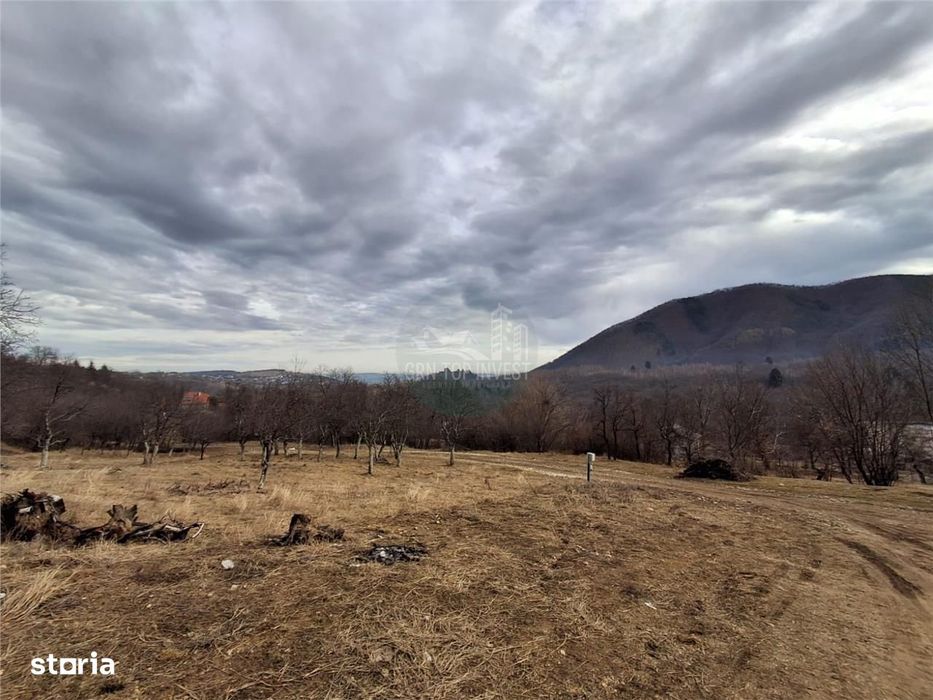 Teren intravilan 1641mp PUZ zona Cisnadioara