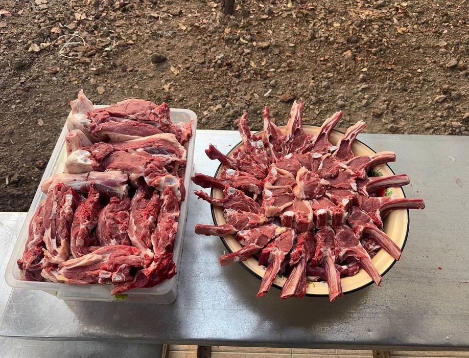 Qoy qochqorlar aqiqa va marosimlar uchun