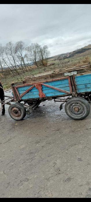 Caruta  si ham disponibile