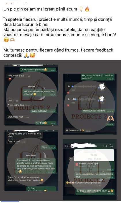 Referate/eseuri/proiecte/prezentări școlare