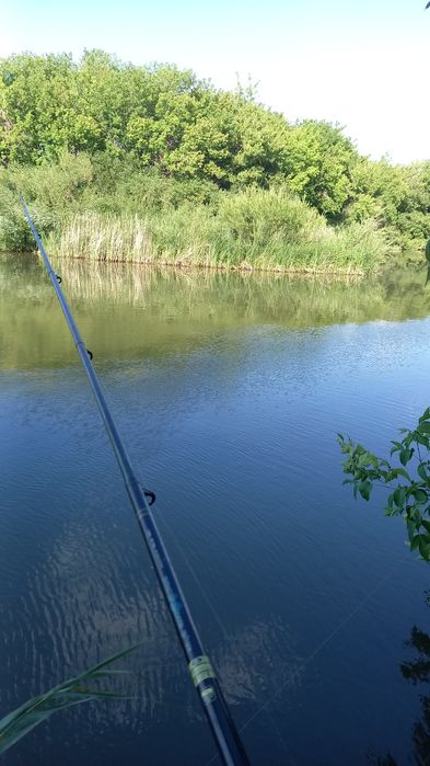 Дом Баймырза покорное