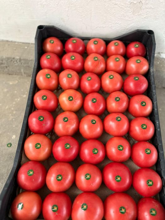 Томаты с Туркменистана, помидор, pomidor, fresh tomato