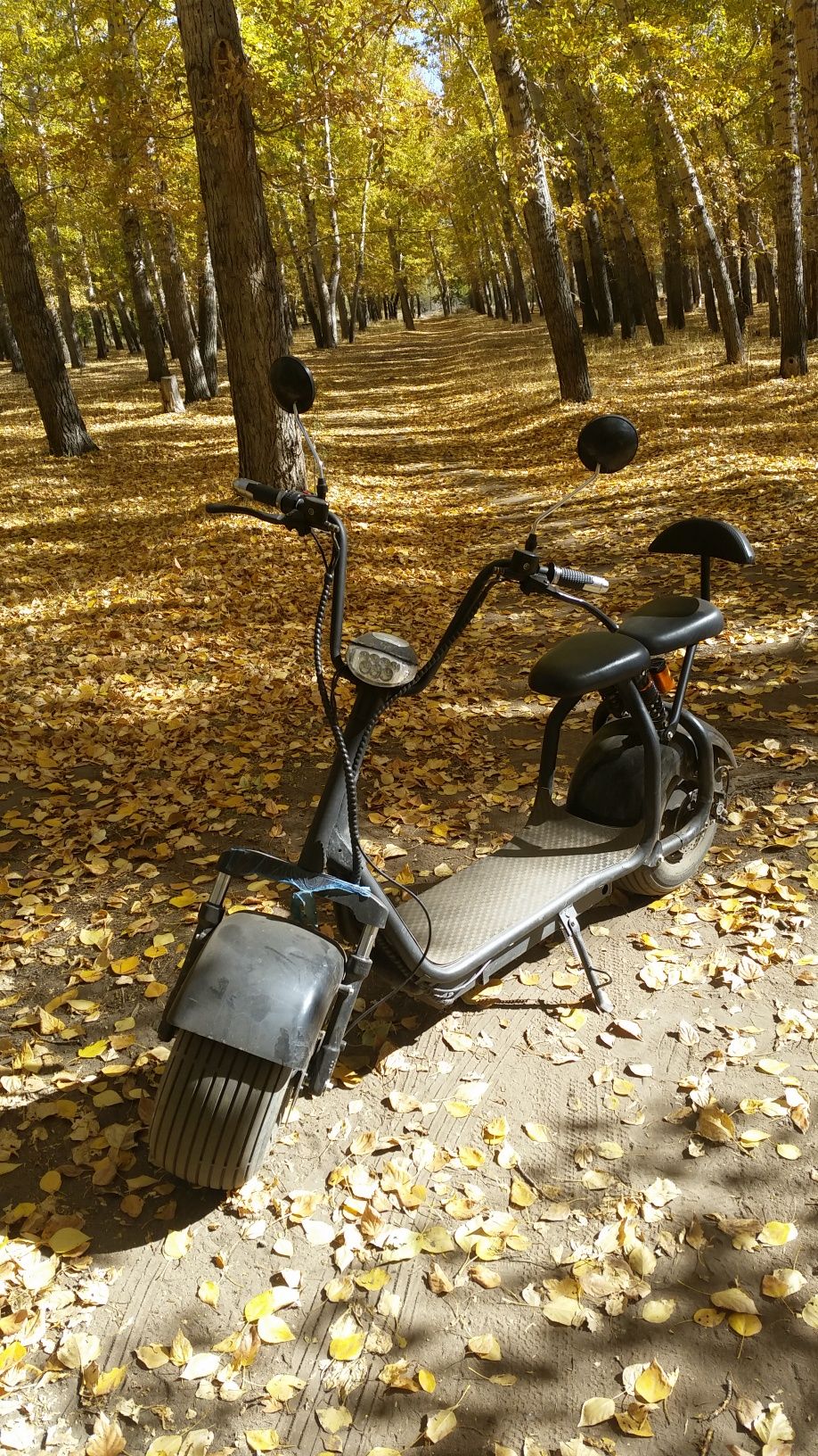 Электроскутер,электросамокат,электромотобайк,электрочудо.