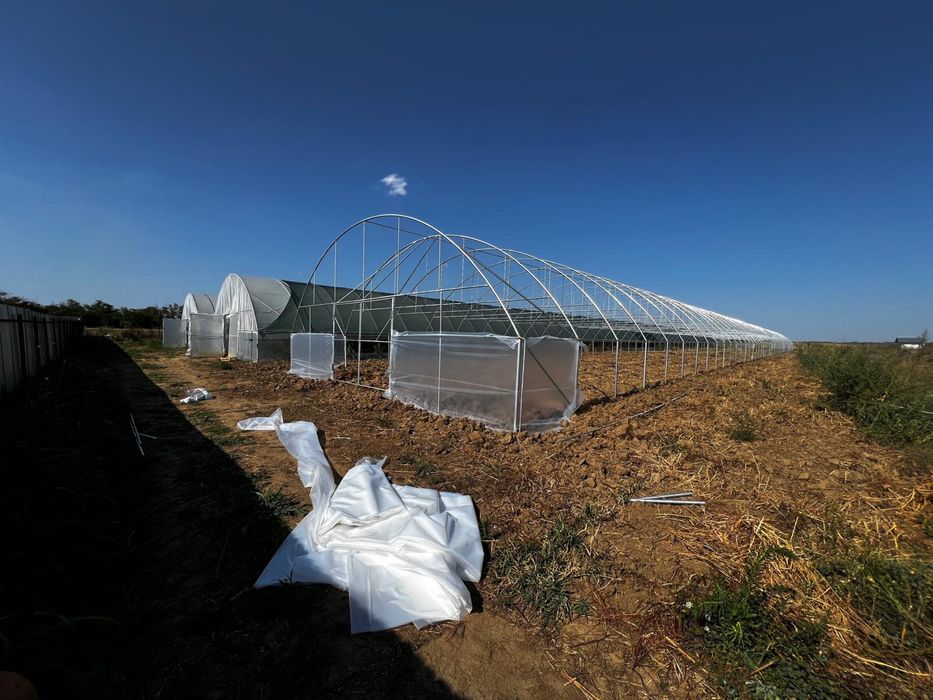 Solarii profesinoale