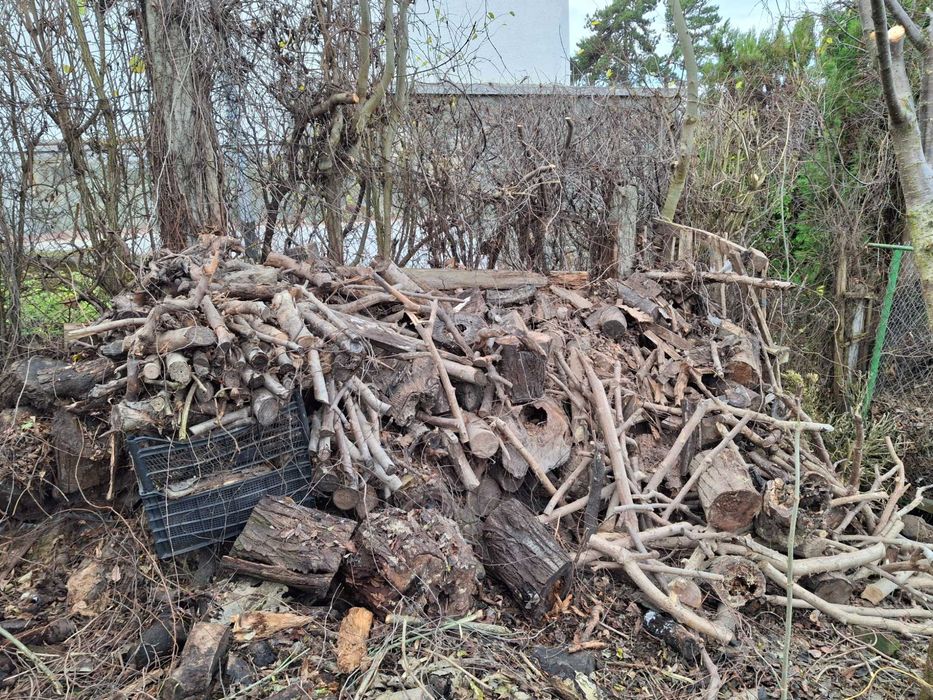 3 grămezi de lemne uscate