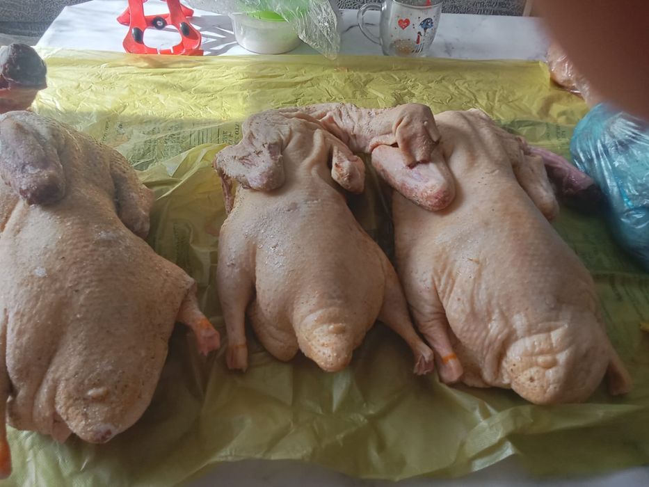 продам мясо утки