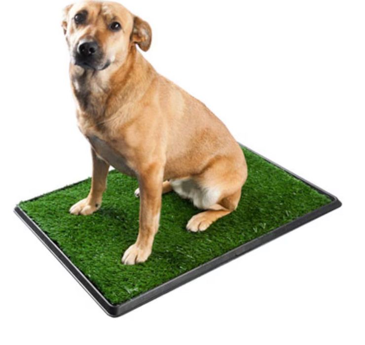 Tava Gazon Artificial Pad Caini 64x51x3cm