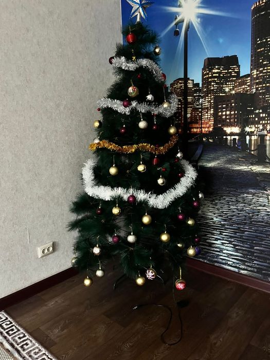 Әдемі жасыл түсті шырша сатылымда!