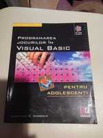 Programare Visual Basic