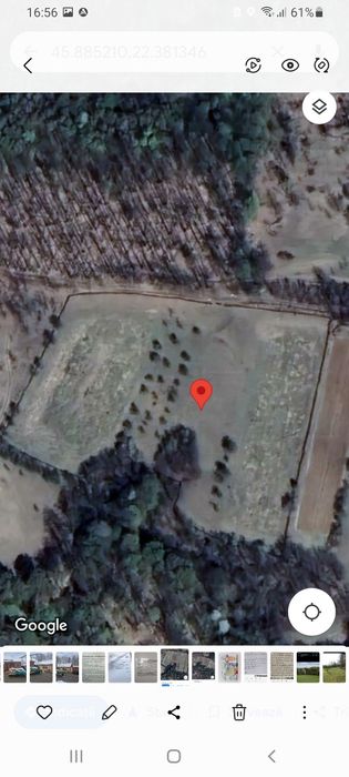 Teren de vânzare 2 hectare 142m² Coșevița jud.Timiș
