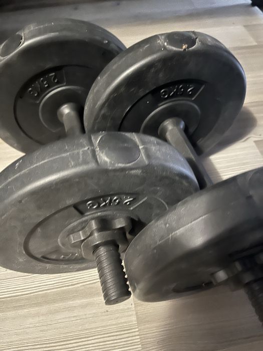 Haltere 5kg cu discuri
