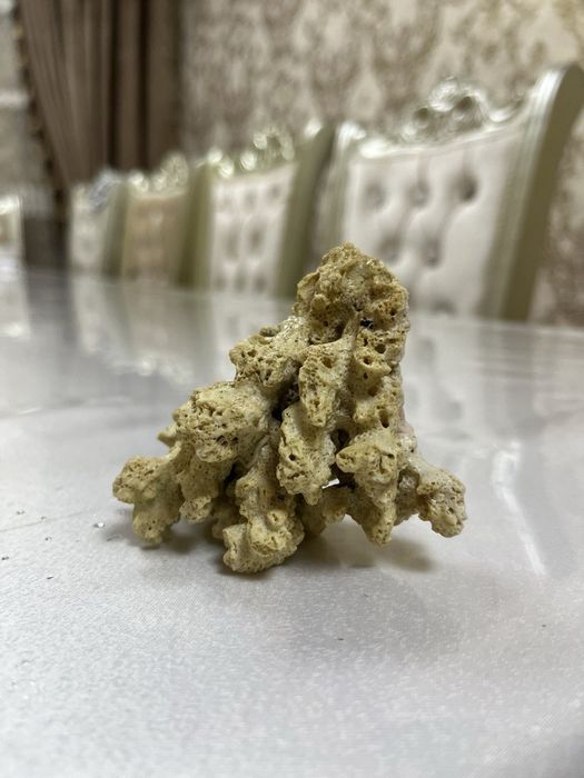 Аквариум аксессурлари