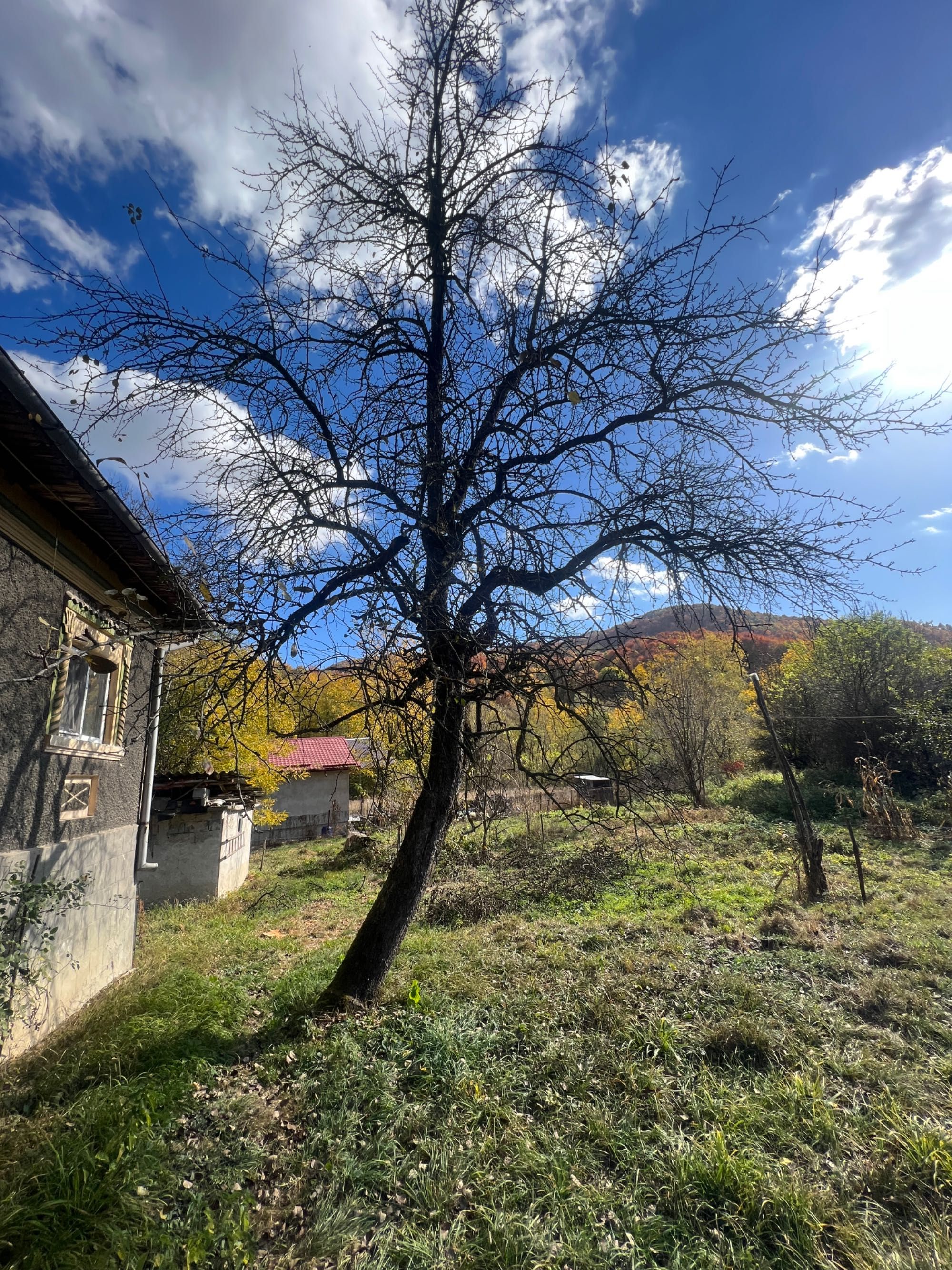 Vand casa si teren la Vulcana Bai