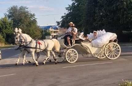 Trasura Evenimente