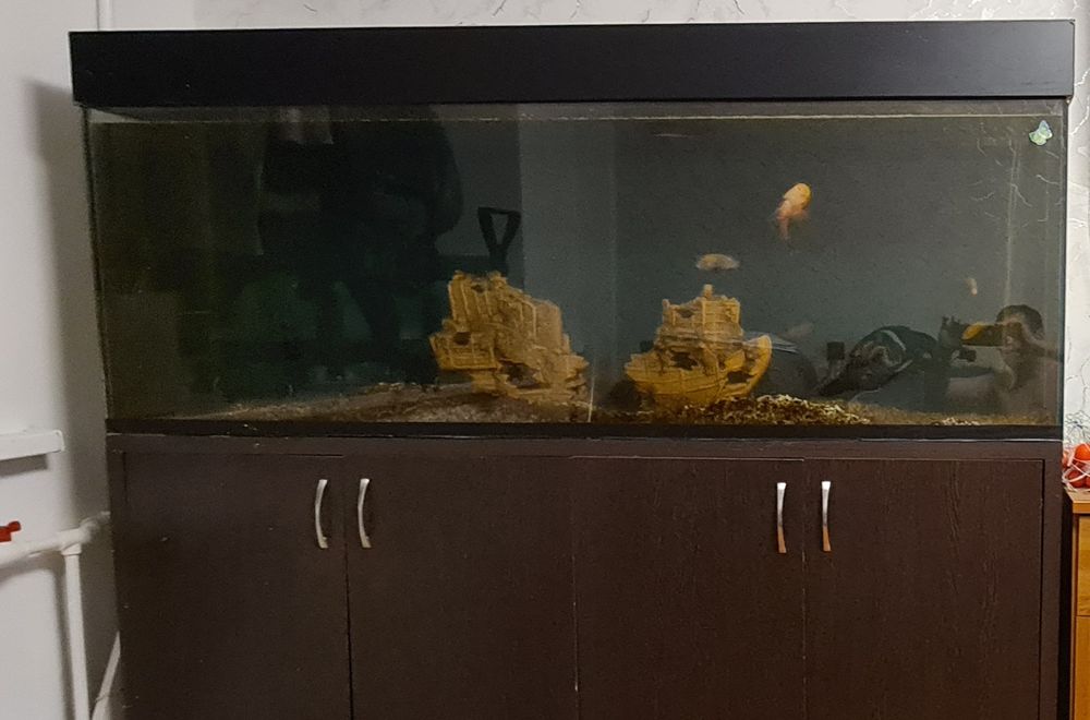 Продам аквариум 180 см.