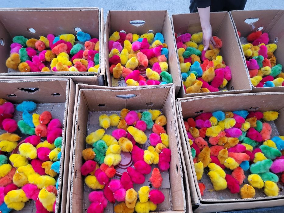 Har hill bor tel doimo yoniq.