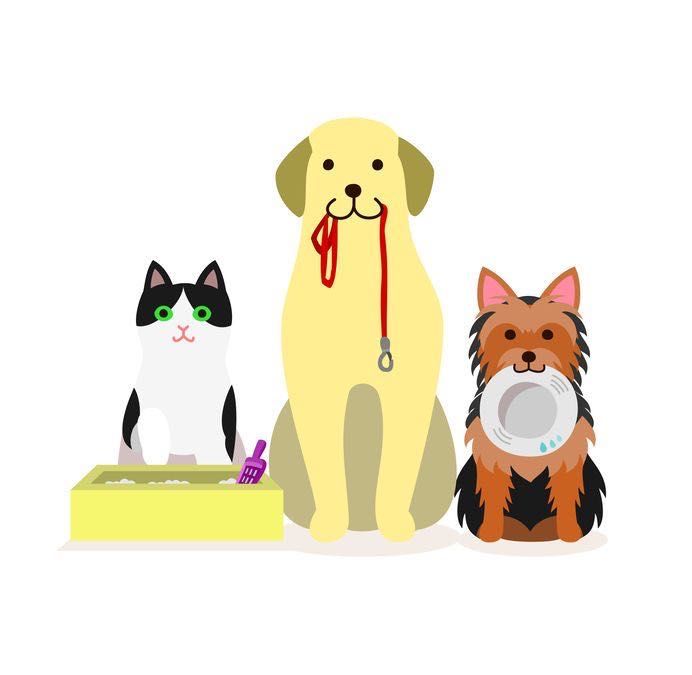 Pet sitter București