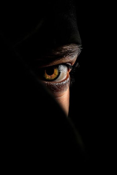 Detectiv Particular. Profesionalism. Avizat de Politia Romana. Atestat