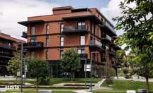 Prima Inchiriere - TOTUL NOU - Bucium - Freya Home - Auchan