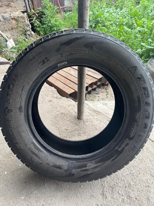 Резина зима Триангл 195/65R15