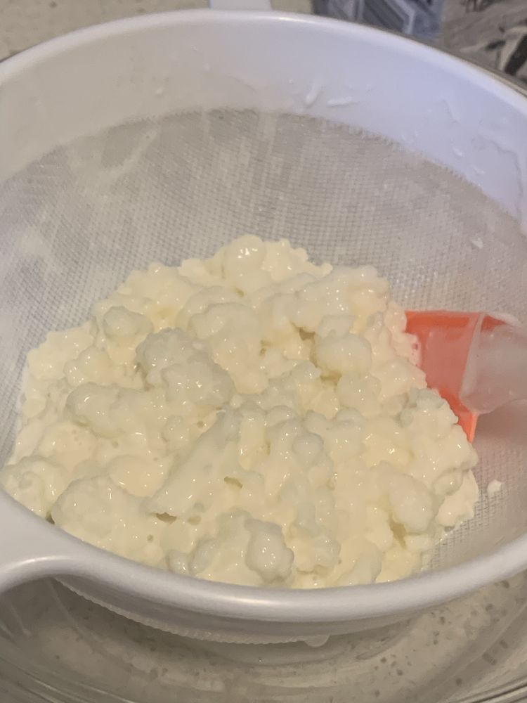 Donez ciupercuta de kefir
